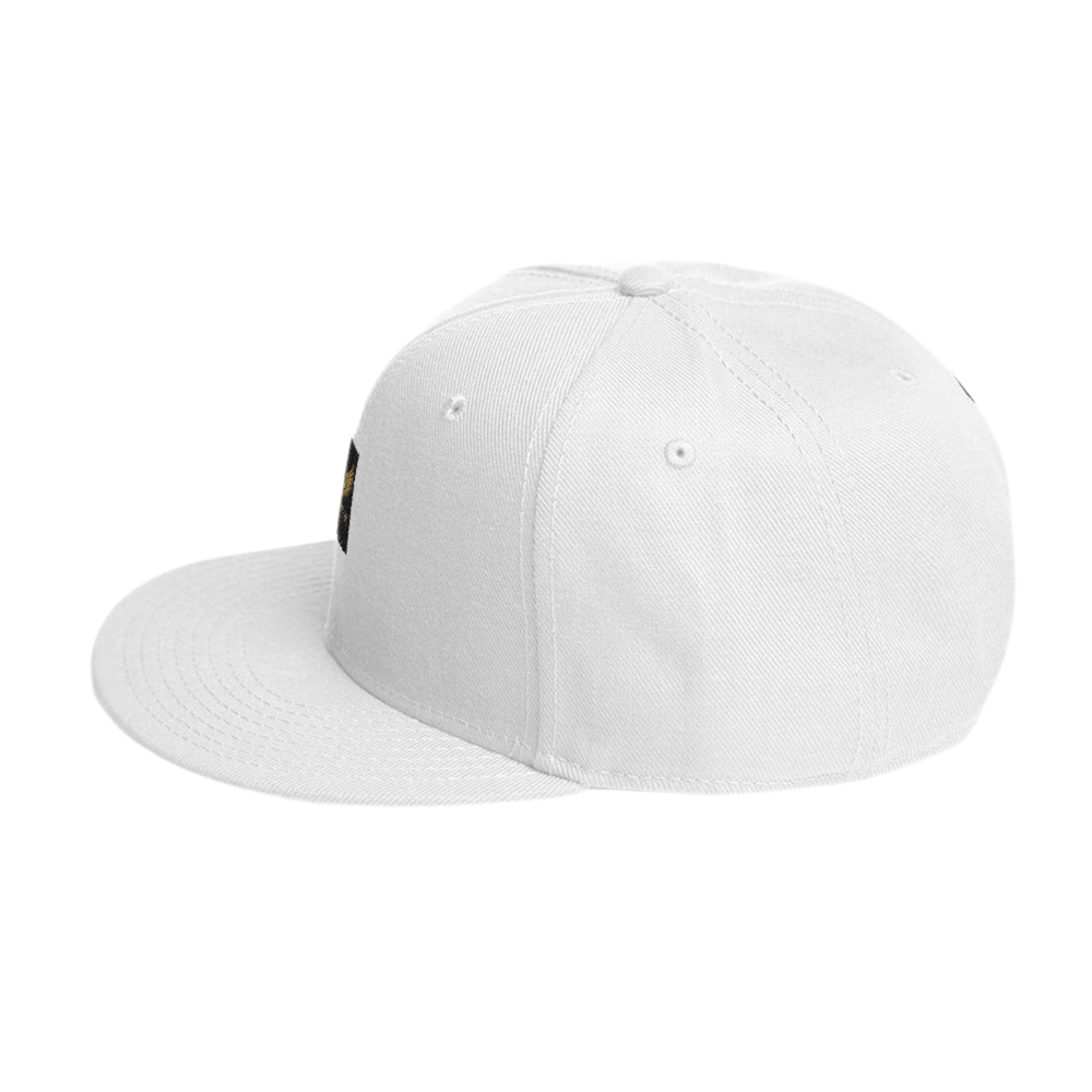 Never Give Up Snapback Hat - Andy Ashton Fitness